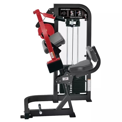 Customerized Medium Loader Triceps Extension Gym for Results by Befreeman Strength