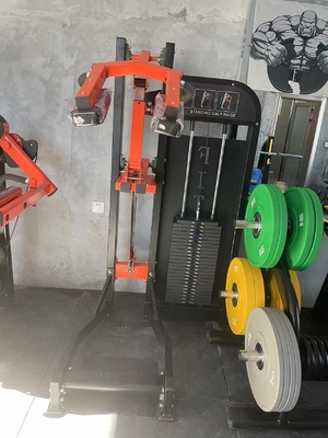 Gym Center Standing Calf Raise Machine Steel Bodybuilding at Befreeman
