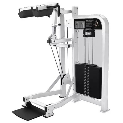 Gym Center Standing Calf Raise Machine Steel Bodybuilding at Befreeman