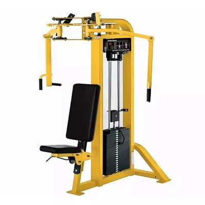 Customizable Frame Color Rear Deltoid Fly Machine for Home Strength Training Equipment