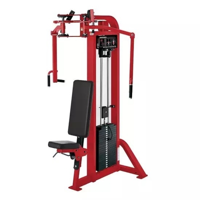 Customizable Frame Color Rear Deltoid Fly Machine for Home Strength Training Equipment