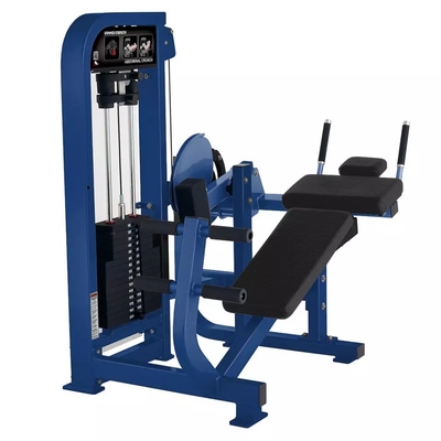 Customerized Abdominal Fitness Machine for Gym Centre at Befreeman Gym Equipment