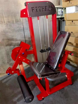Indoor Fitness Equipment Adjustable Back Extension with Medium Loader 1170*910*1630MM