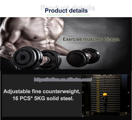 Two Layer Electrostatic Powder Coating Biceps Curl Triceps Machine for Effective Workouts