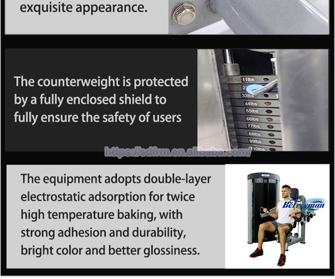 Two Layer Electrostatic Powder Coating Biceps Curl Triceps Machine for Effective Workouts
