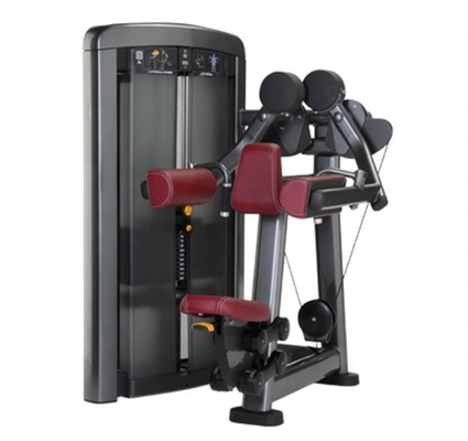 Commercial Fitness Gym Equipment Medium Loader Type Lateral Raise for Body Building