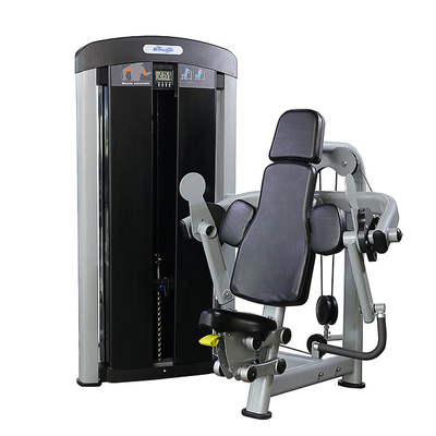 Commercial Steel Medium Loader Biceps Curl Machine for Gym Club Universal Body Building