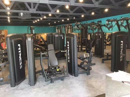 Commercial Steel Medium Loader Biceps Curl Machine for Gym Club Universal Body Building