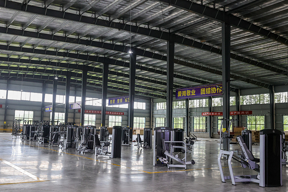 Optional Selectable Frame Color Commercial Seated Row Fitness Body Building Equipment