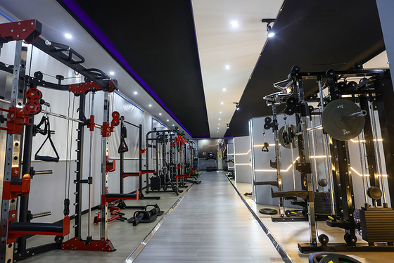 Optional Selectable Frame Color Commercial Seated Row Fitness Body Building Equipment