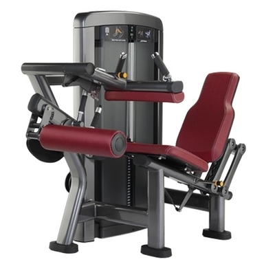 Customizable Logo Commercial Strength Seated Leg Curl Extension for Workout Equipment