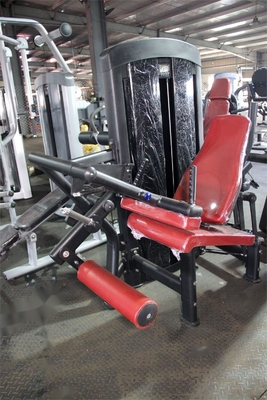 Customizable Logo Commercial Strength Seated Leg Curl Extension for Workout Equipment