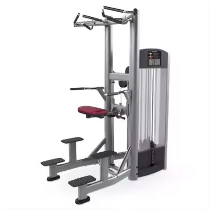 Pull-up Bar and Dipping Machine for Triceps Deltoids Workout Using Fitness Sport Functio