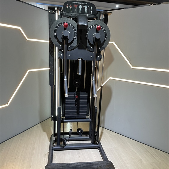 Steel Commercial Gym Equipment Pin Loaded Machines Shoulder Raise Standing Lateral Raise 2150*1430*1580