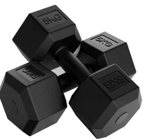 Metal and Rubber Home Gym Fitness Equipment Hex Dumbbell with Customized Frame Color