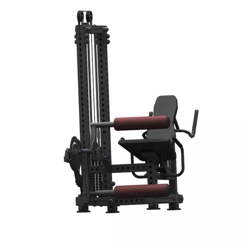 Body Building Pin Load Selection Machines Leg Press Leg Curl Leg Extension Machine Dual