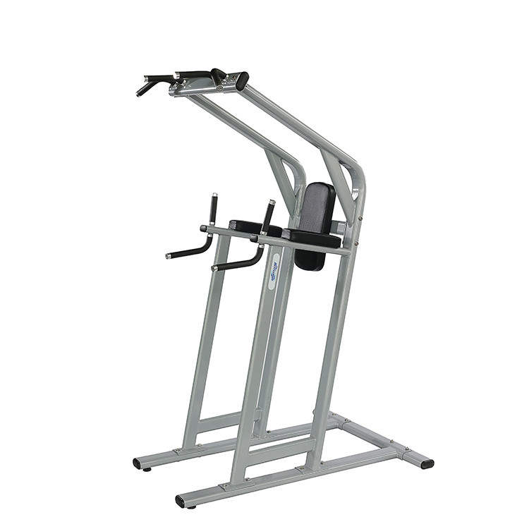Gym Center Frame Color Optional Selectable Chin Dip Leg Raise Exercise Fitness Machine