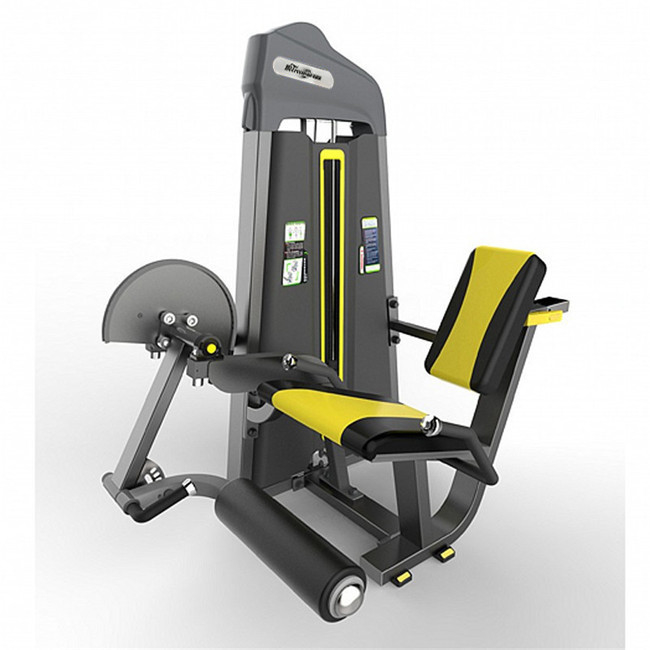 Universal Seated Leg Extension and Leg Curl Pin Load Selection for Strength Training