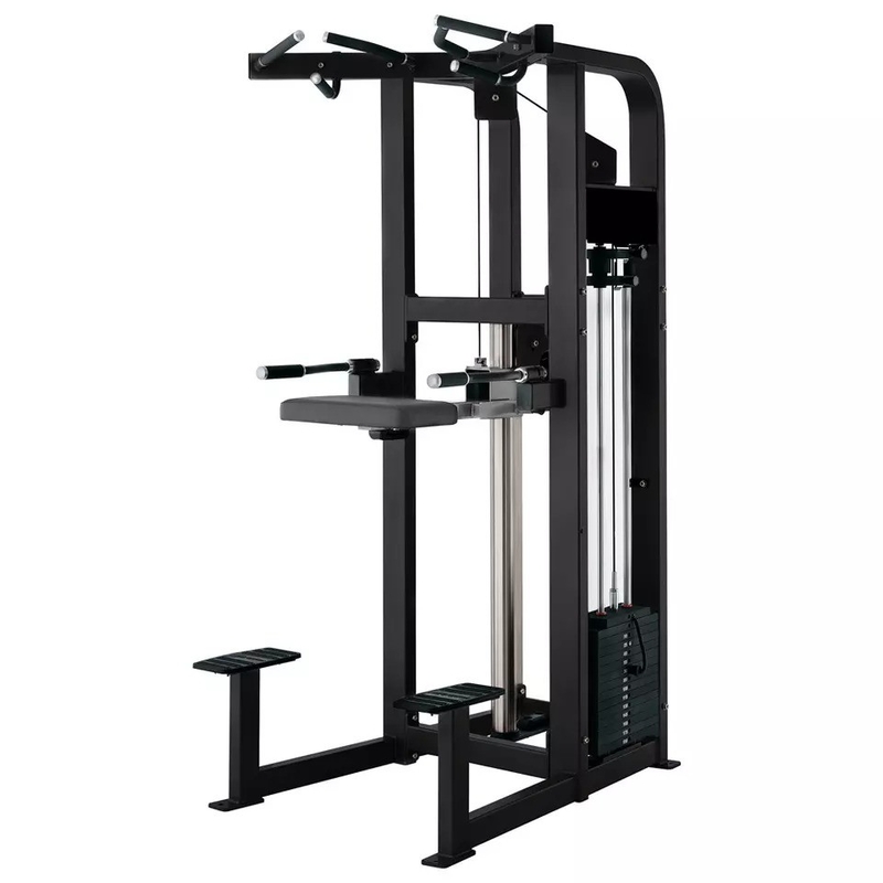 Customized Logo Pin Loaded Fitness Selected Assist Dip Chin Machine For Bodybuilding 262KG
