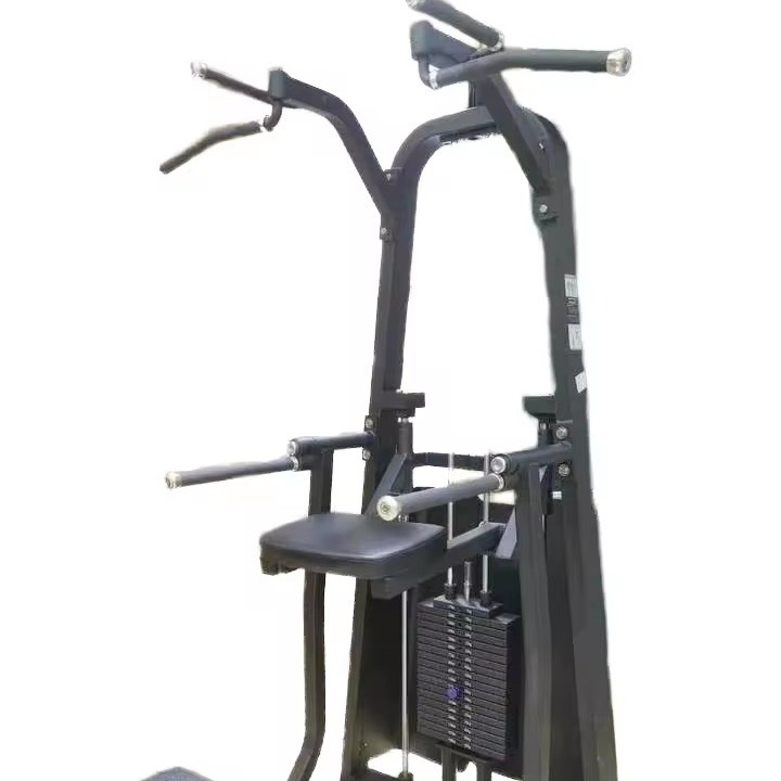 Customizable Pin Loaded Dip/Chin Assisted Gym Machine Ideal for Shoulder Leg Training