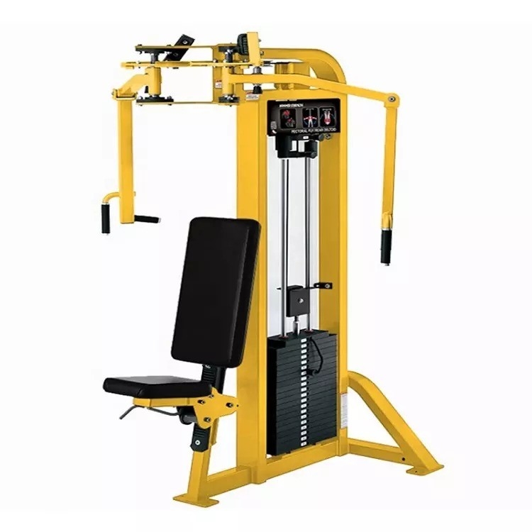 Customizable Frame Color Rear Deltoid Fly Machine for Home Strength Training Equipment